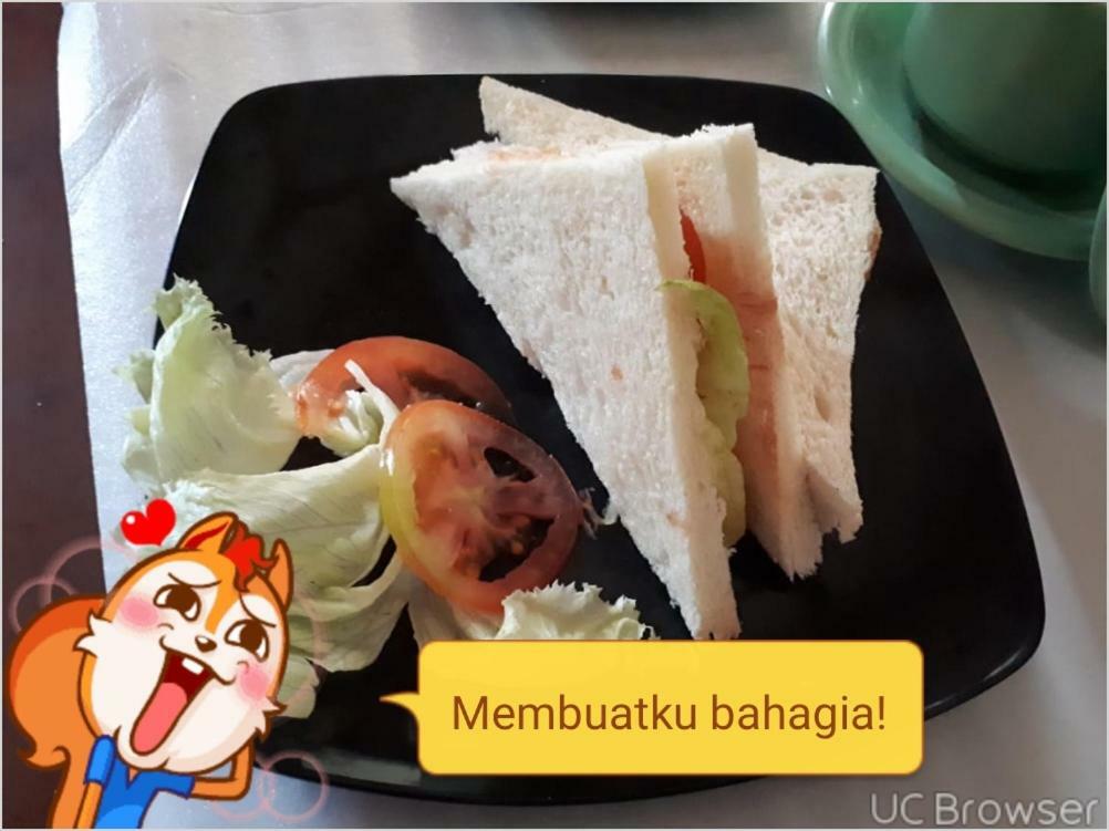 乌布 德瓦普特旅馆酒店 外观 照片